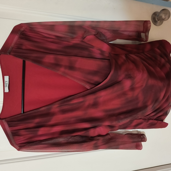 Suzy Shier Tops - Zara Red and Black Mesh Top